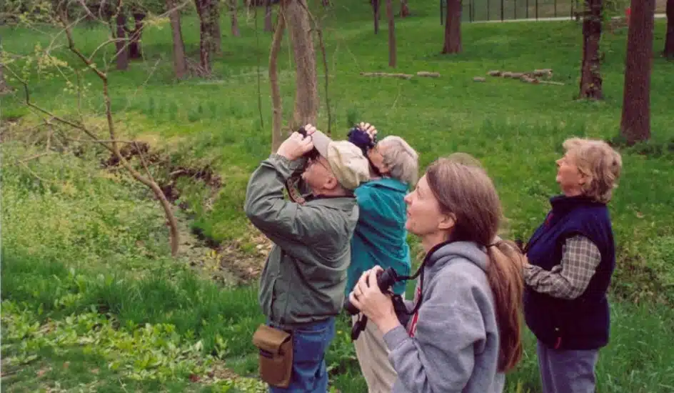 Birdwatching in Chester County
