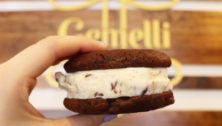 Gemelli Artisanal Gelato Ice Cream Sandwich
