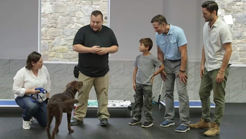 At Attention Dog Training