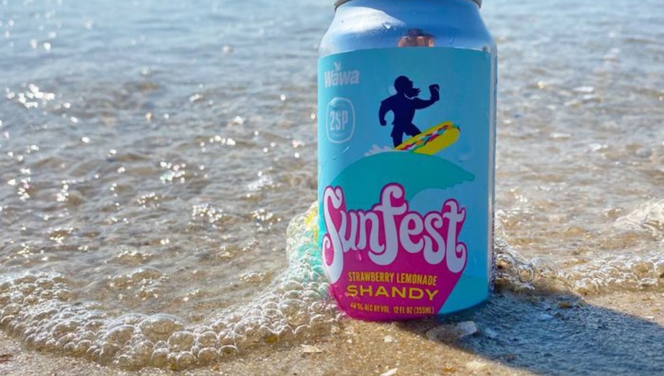 Wawa, Local Craft Brewer Just Made Our Summer a Little Better