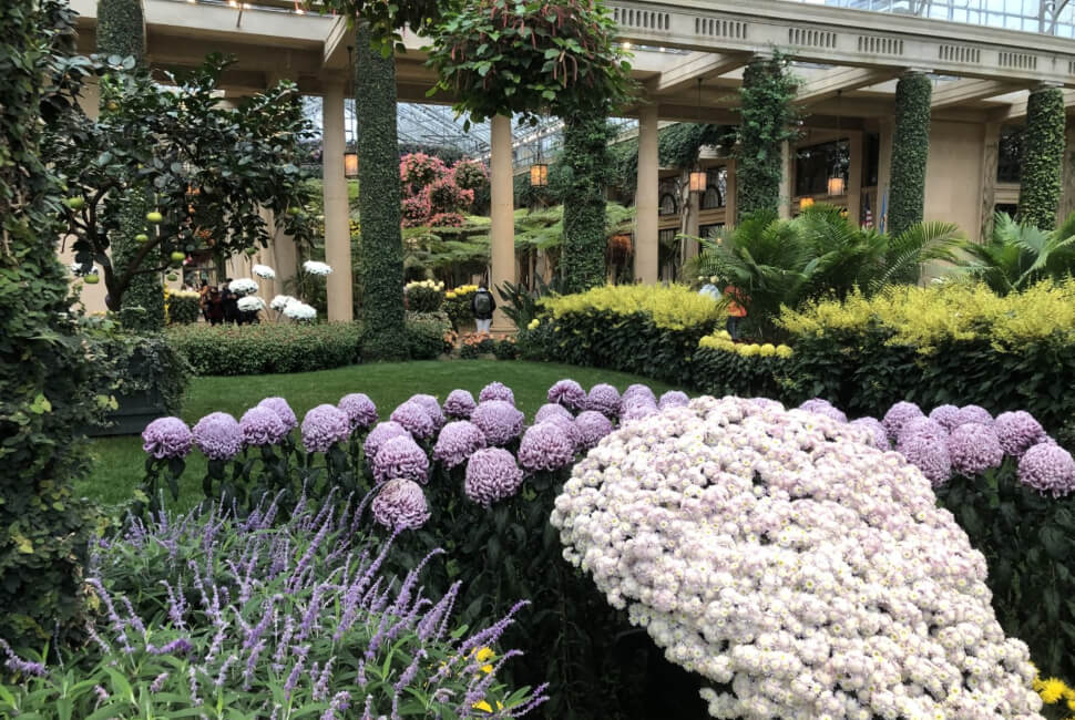 Longwood Garden Conservatory
