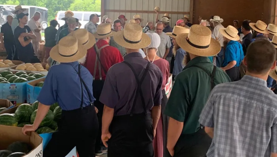 Amish-Owned Oxford Produce Auction Keeps Small, Local Farms Producing the Green