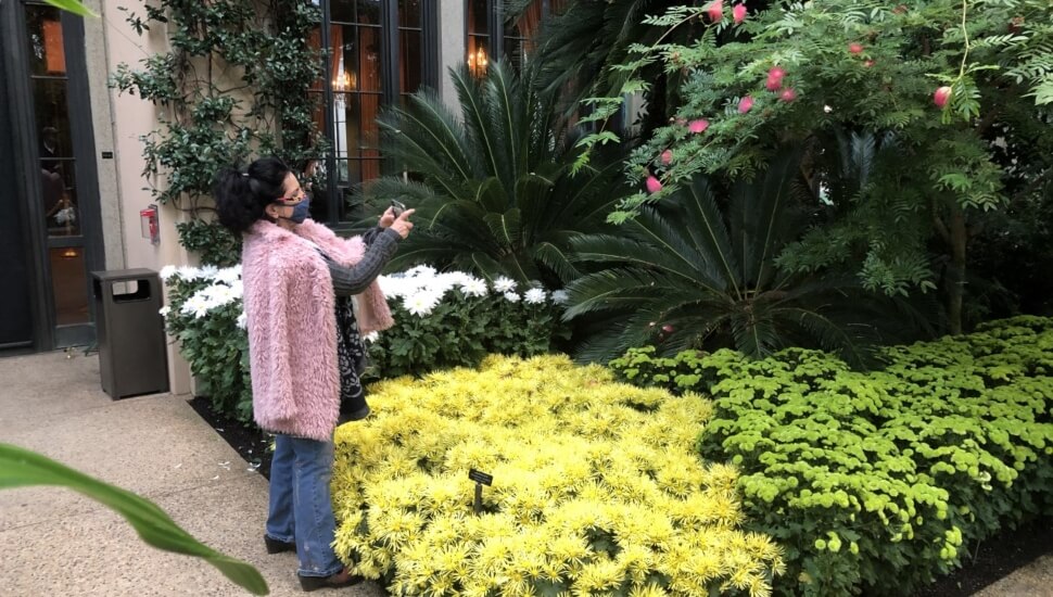 Visits take in Longwood Garden's Orchid House views.