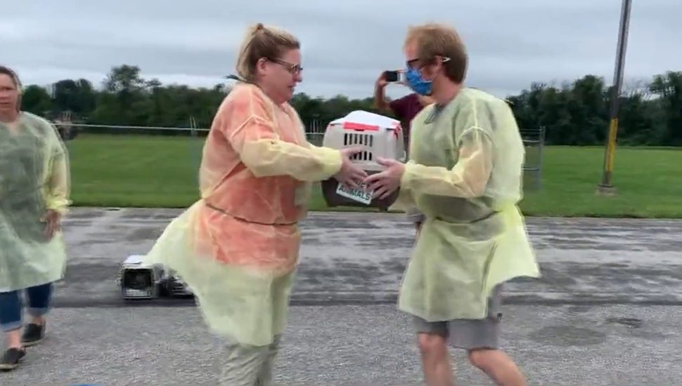 Brandywine Valley SPCA rescues pets ahead of Hurricane Ida