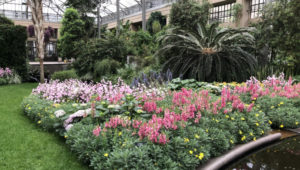 A flower bed at Longwood Gardens Conservatory