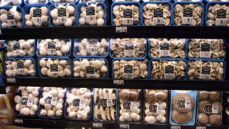 mushrooms on shelves