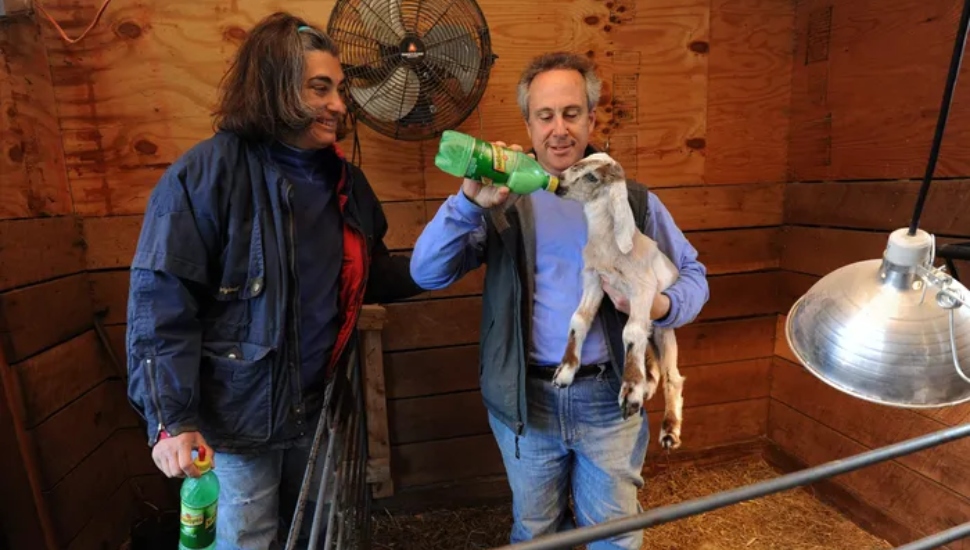 man, woman, goat