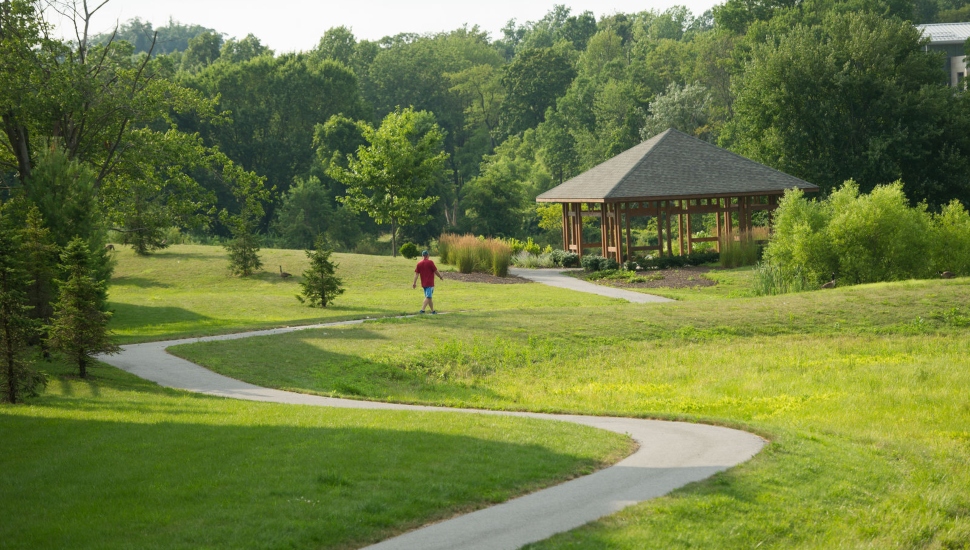 walking trail