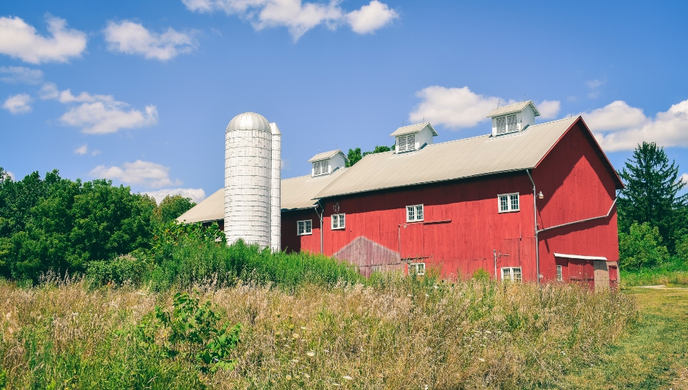 Pair of Chester County Farms Protected from Future Development