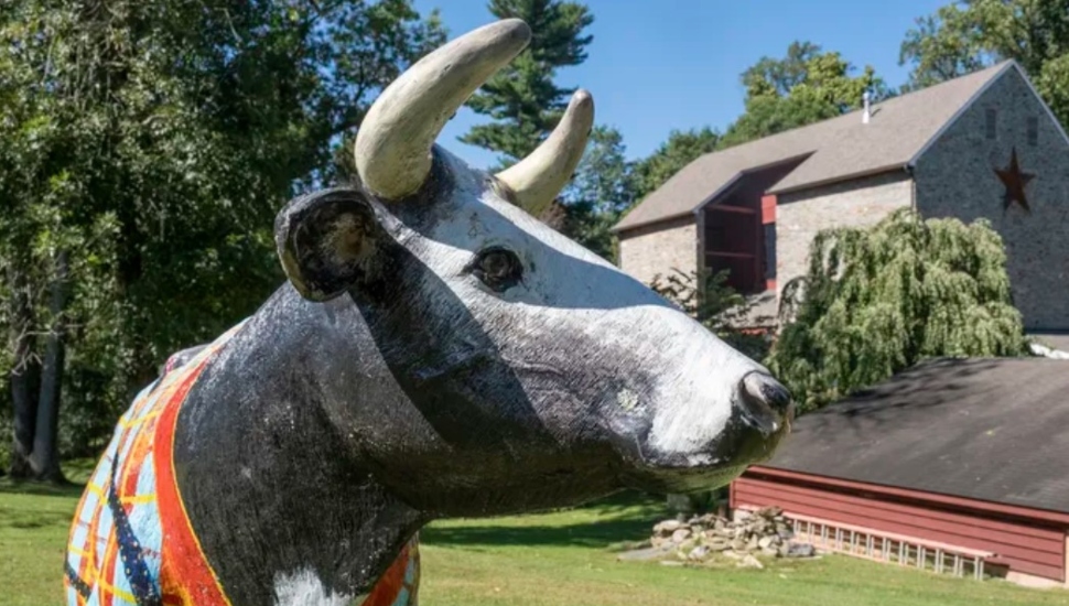 West Chester Couple Transforms 1830s Bank Barn: ‘Living in a Very Old Home Not for the Faint of Heart’