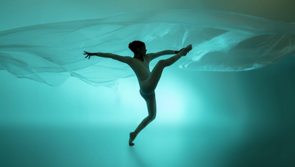 Asian-American dance company