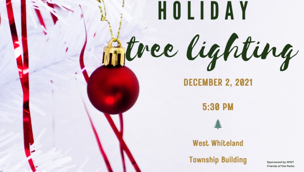 flyer for tree lighting