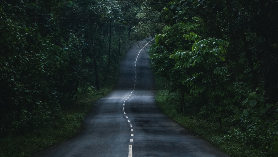 road winding through trees