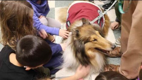 kids with dog in red vest