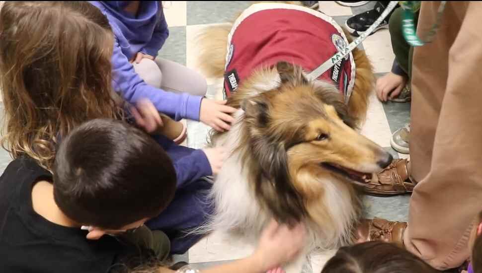 kids with dog in red vest