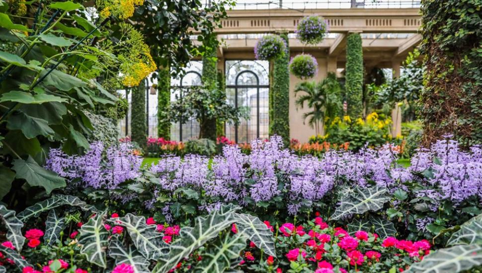 flowers in conservatory