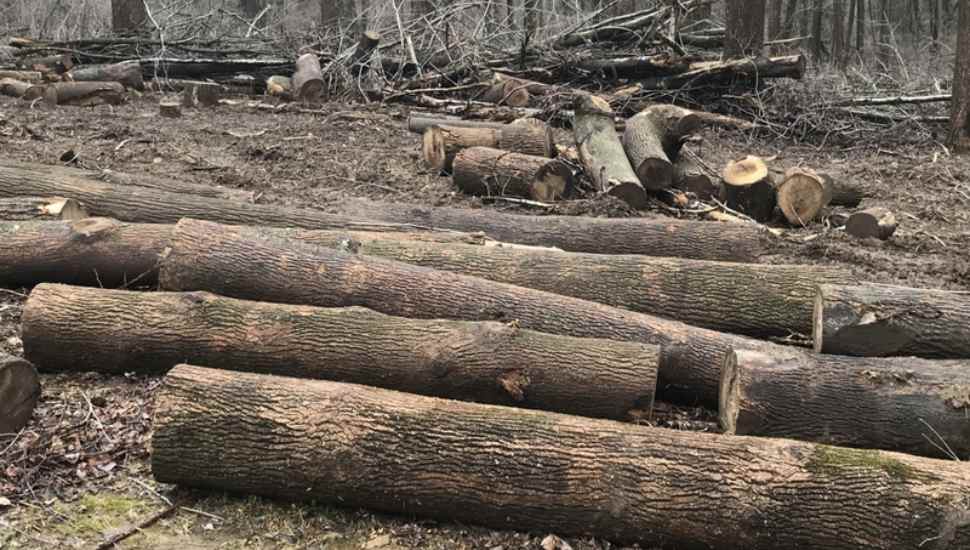 Residents of Kennett Township Subdivision Ask Municipality to Rectify Damage from Abandoned Project