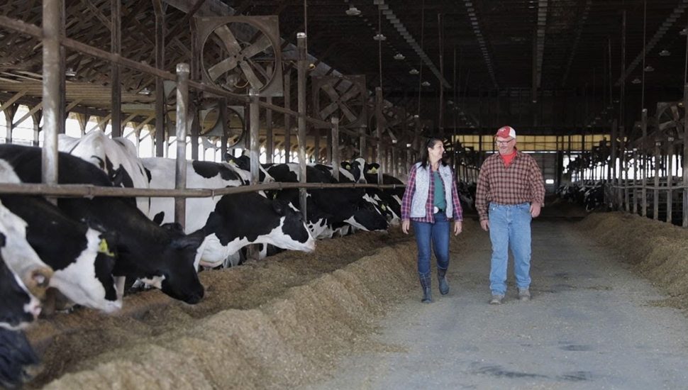 Wall Street Journal: Cochranville Farm Chews Through Savings to Invest in Methane-Reduction Technology