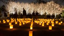 luminaria with trees