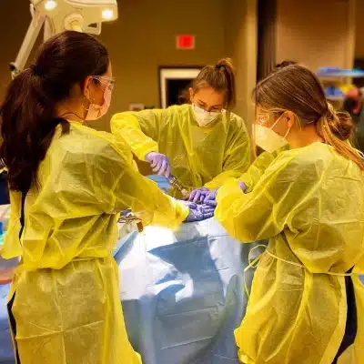 cadaver workshop