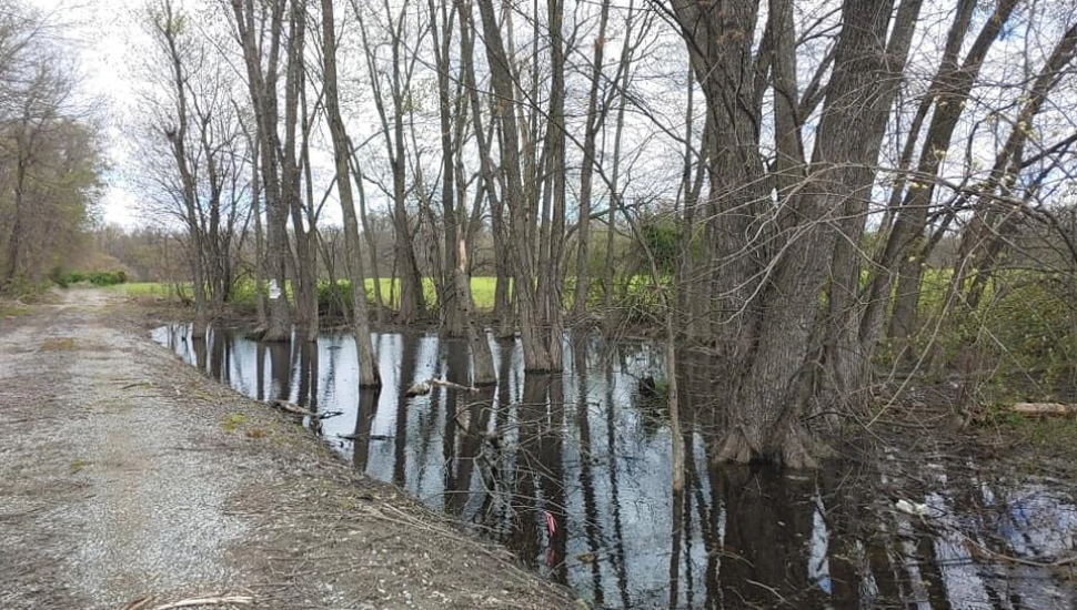 Residents Bemoan Proposed Development That ‘Will Destroy the Rural Tranquility of Honey Brook’