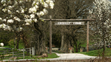 Crebilly Farm