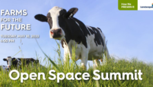 Open Space Summit