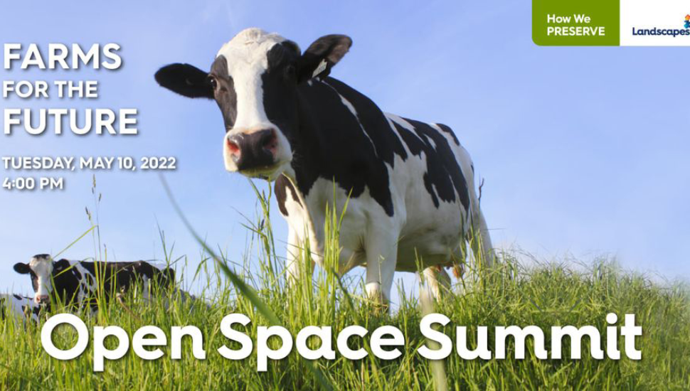 Open Space Summit