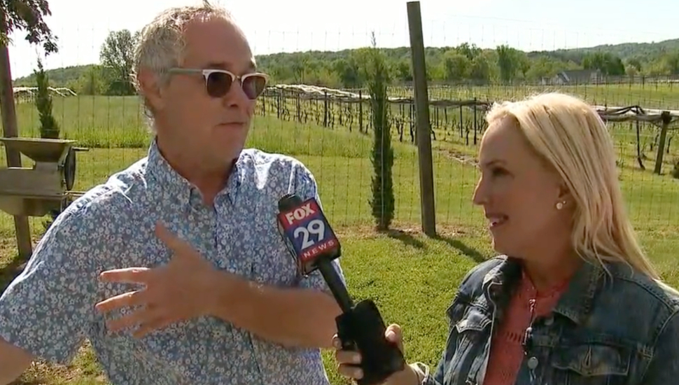 Stargazers Vineyard