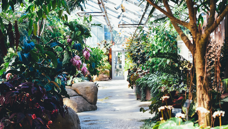 Hershey Nursery