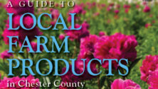 A Guide to Local Farm Products