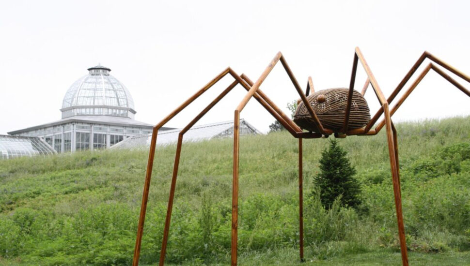 Big Bugs spider sculpture