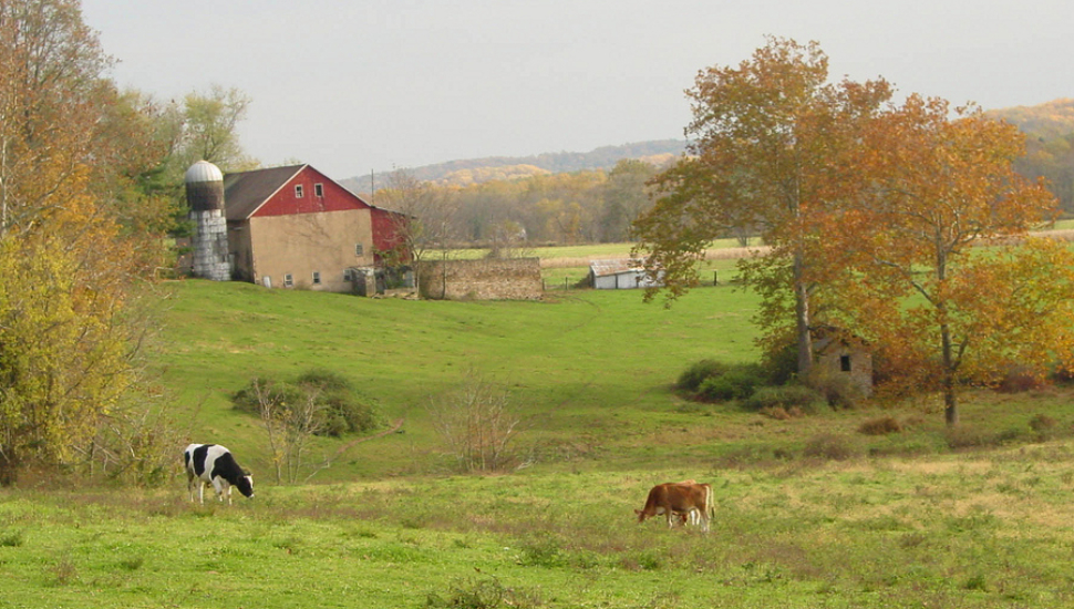 Farmland