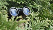 binoculars out of bushes
