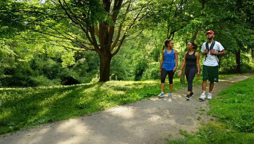 hikers in state park