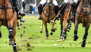 people riding horses while playing polo