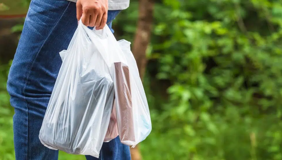person holds two plastic bag