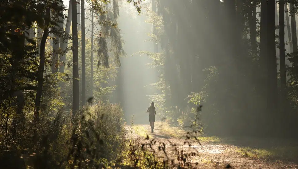person running on trail in woods