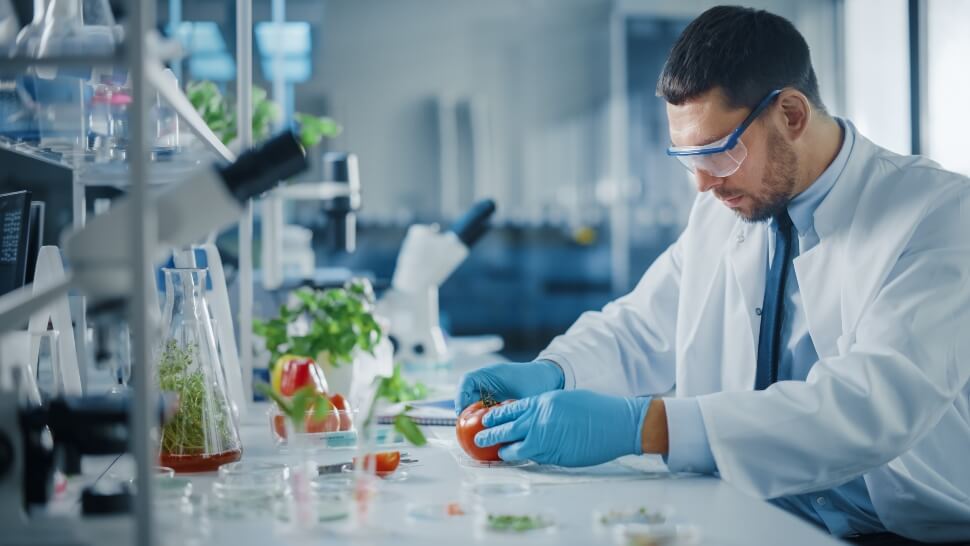 Man working in a Life Sciences Lab