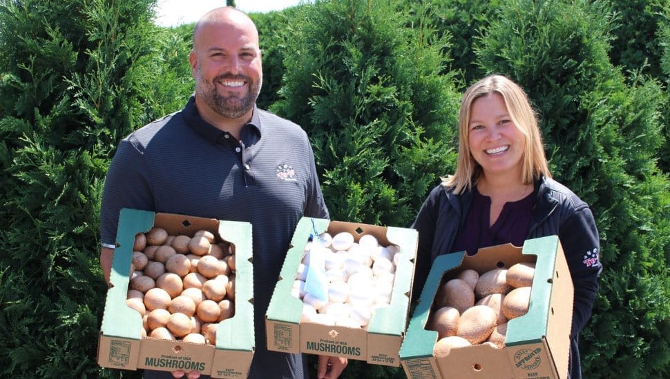 two people holding boxes of mushrooms