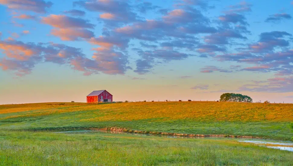 farmlands