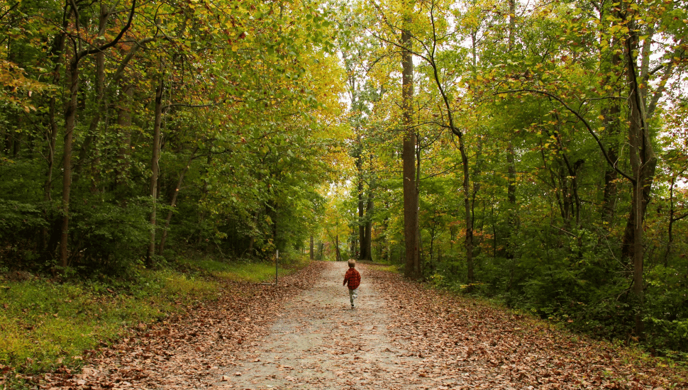 small boy running on trail covered with leaves and trees