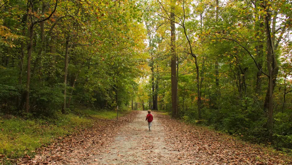 small boy running on trail covered with leaves and trees