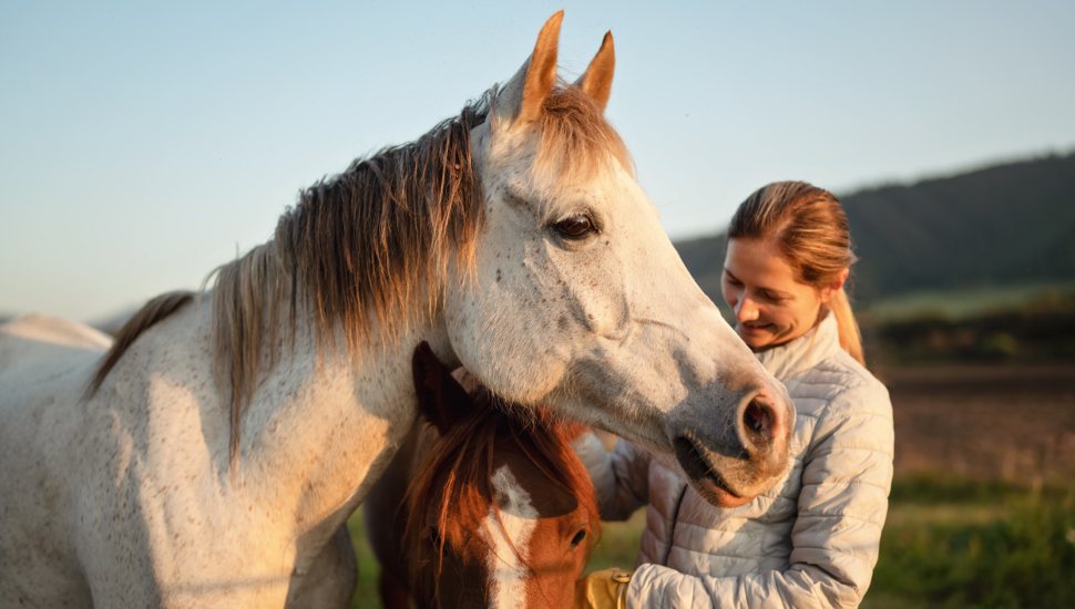 Technology Once Used by NASA Astronauts Now Helps Parkesburg Practitioner Heal Horses
