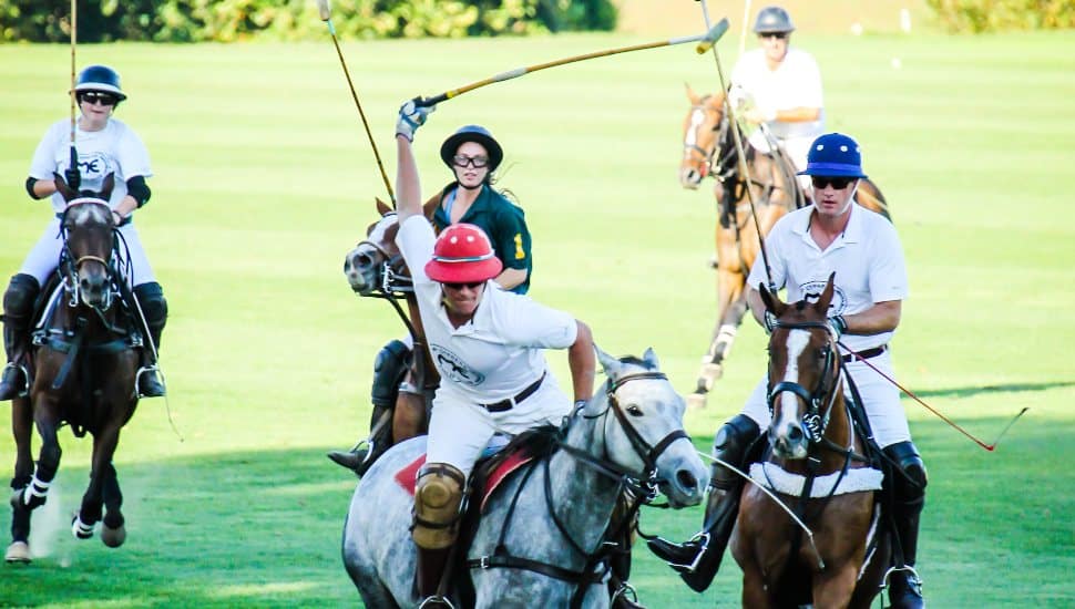 Polo Malvern Bank