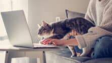 Young woman working from home with a cat