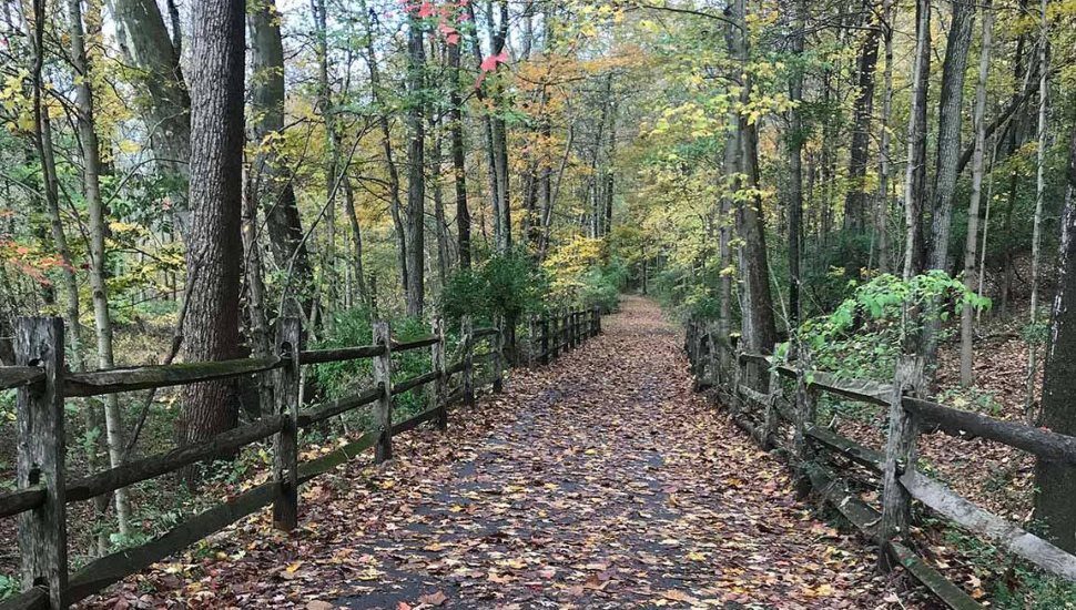 chester county brandywine trail