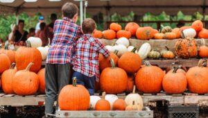 two boys picking pumpkins fall festivities