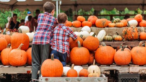 two boys picking pumpkins fall festivities