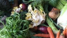 fresh vegetables from farmers markets in Chester County